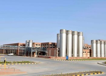 Banas Dairy develops indigenous Potato Seeds