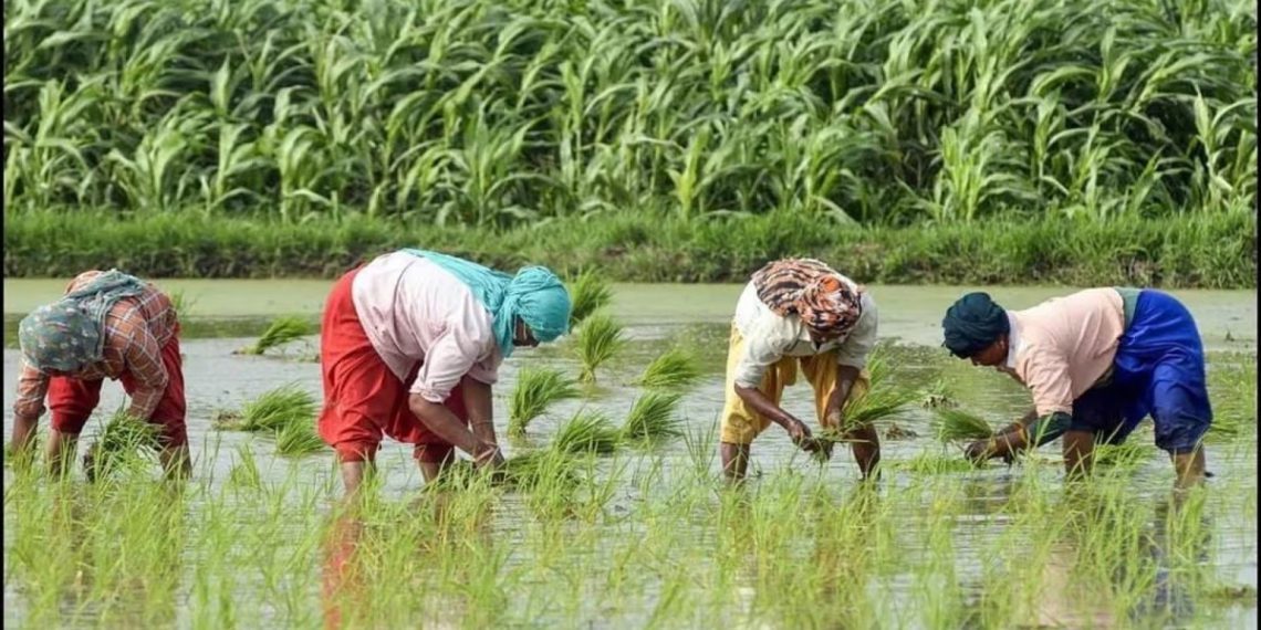 NAFSCOB seeks resolution of key issues of Rural Co-op Banks in Budget