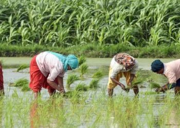 NAFSCOB seeks resolution of key issues of Rural Co-op Banks in Budget