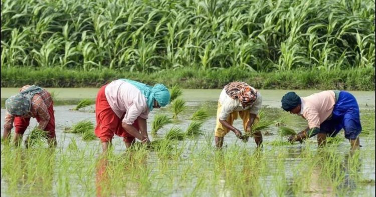 NAFSCOB seeks resolution of key issues of Rural Co-op Banks in Budget