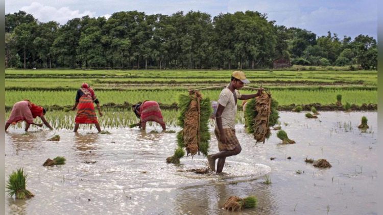 Co-op Banks boost farm credit; GLC tops Rs 28.69 lakh crore