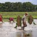 Co-op Banks boost farm credit; GLC tops Rs 28.69 lakh crore