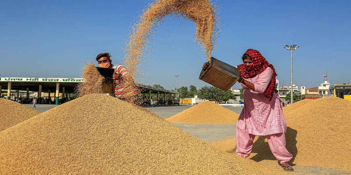 Kerala shifts Paddy Procurement to Cooperatives