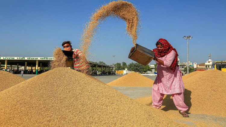 Kerala shifts Paddy Procurement to Cooperatives