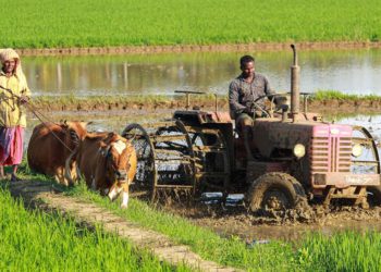 RBI proposes overhaul of KCC for RCBs; Introduces 6-Year Credit Model