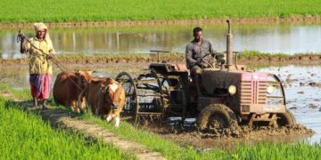 RBI proposes overhaul of KCC for RCBs; Introduces 6-Year Credit Model