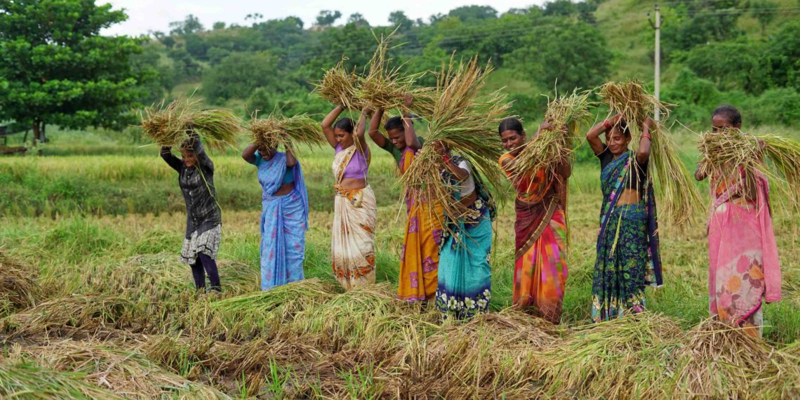 Co-op Schemes reach Farmers, Women and Depositors nationwide