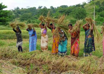 Co-op Schemes reach Farmers, Women and Depositors nationwide