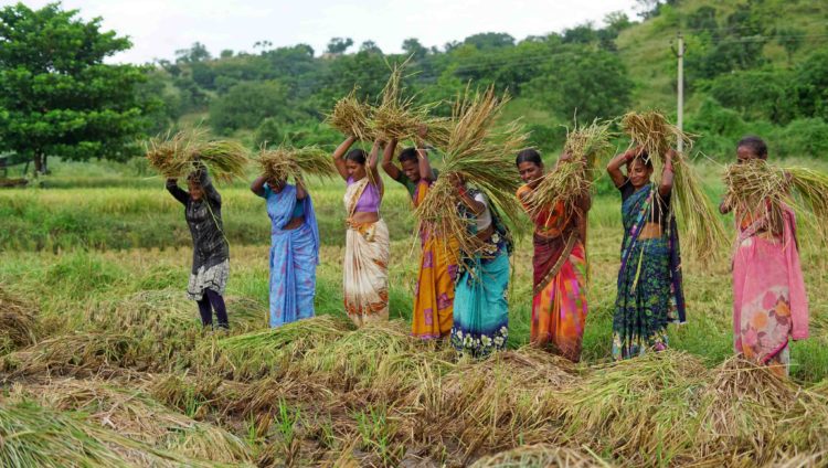 Co-op Schemes reach Farmers, Women and Depositors nationwide