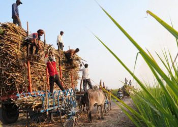 Centre disburses over Rs 10K crore to Co-op Sugar Mills