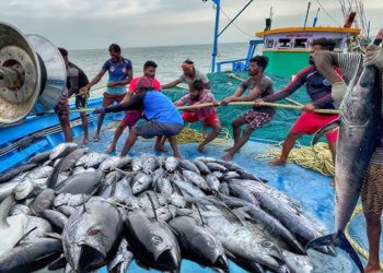 Centre Pushes Deep-Sea Fishing, Fisheries Co-ops under PMMSY