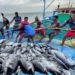 Centre Pushes Deep-Sea Fishing, Fisheries Co-ops under PMMSY