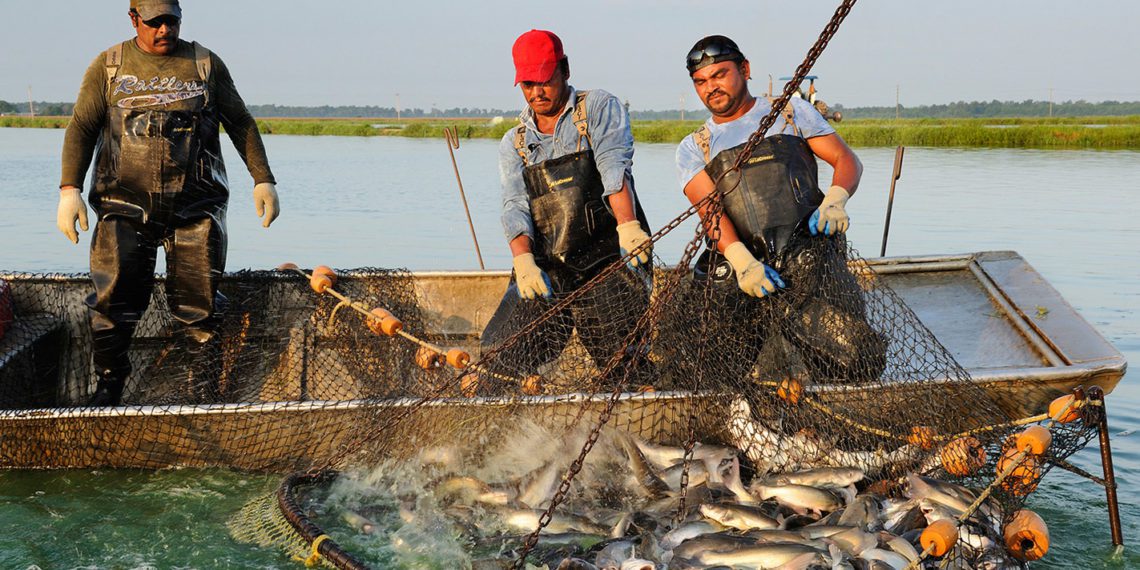 PMMSY boosts Fisherwomen Co-op in Puducherry