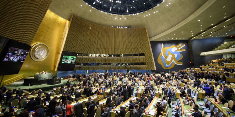 UN proclaims International Year of Co-operatives every decade