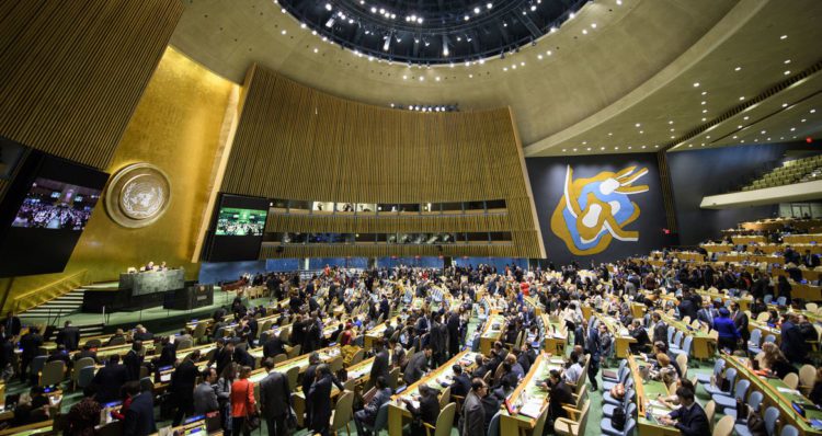 UN proclaims International Year of Co-operatives every decade