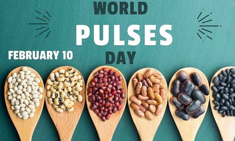 World Pulse Day: KRIBHCO, NAFED highlight its importance