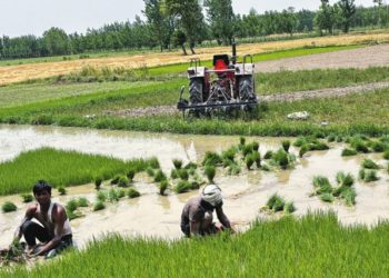 From Grassroots to Global: Chennai event highlights Women’s Power
