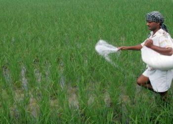 Urea output jumps as India boosts Fertiliser Capacity: PM