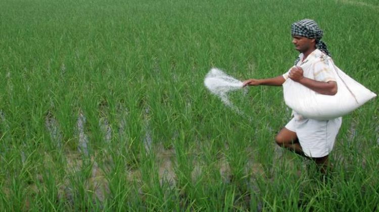 Urea output jumps as India boosts Fertiliser Capacity: PM