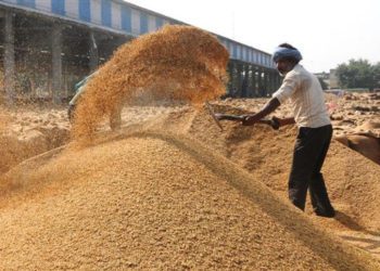 Govt raises Commission for Wheat, Paddy Procurement