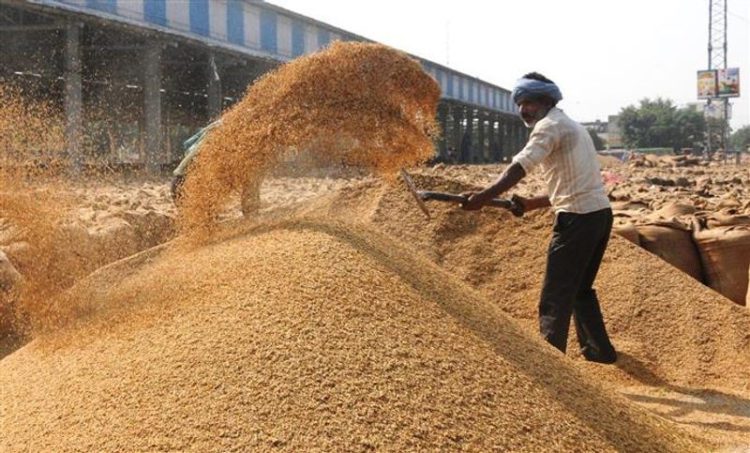 Govt raises Commission for Wheat, Paddy Procurement