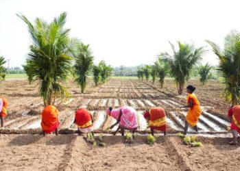 RBI opens door for Co-op Banks in AgriSURE framework