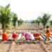 RBI opens door for Co-op Banks in AgriSURE framework