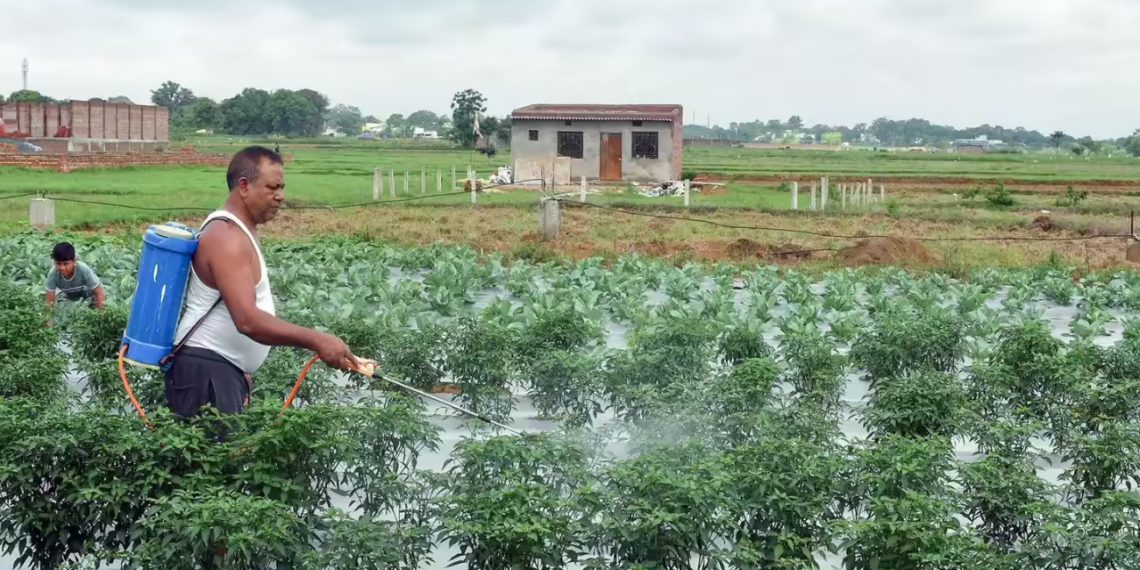 Cabinet clears NBS Rates for Kharif 2026