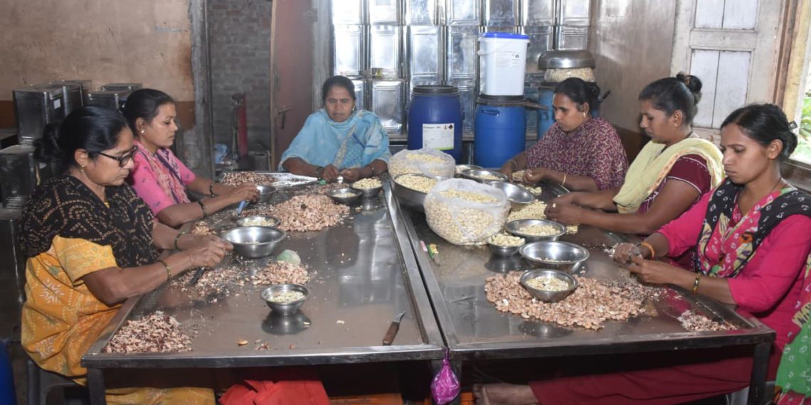 Coop-Led Cashew Unit boosts Rural Economy in Dang