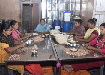 Coop-Led Cashew Unit boosts Rural Economy in Dang