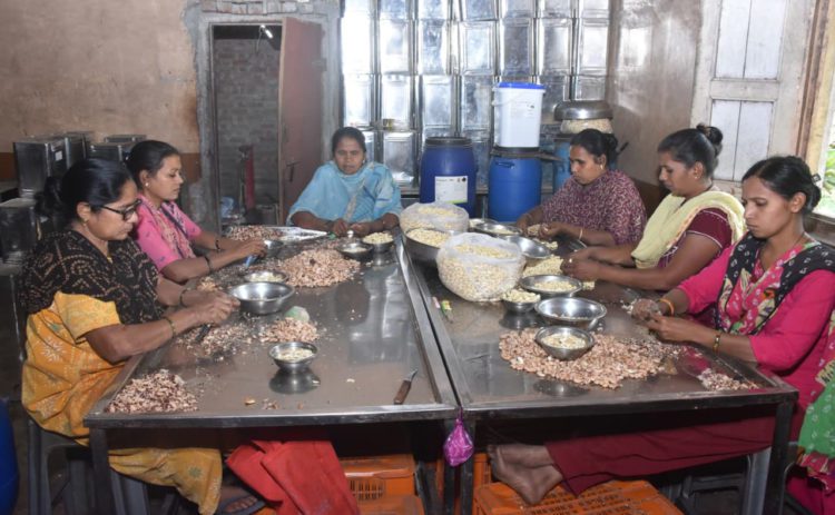 Coop-Led Cashew Unit boosts Rural Economy in Dang