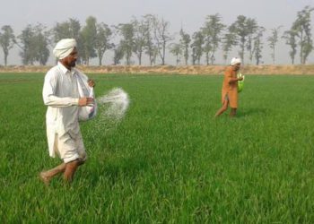 IFFCO leads Urea Supply in Rajasthan: Shah in RS