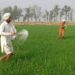 IFFCO leads Urea Supply in Rajasthan: Shah in RS