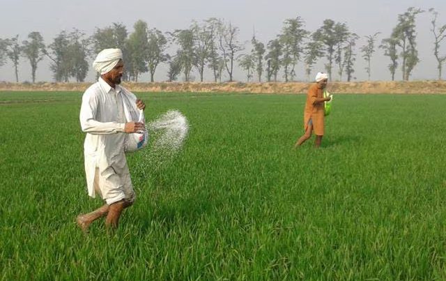 IFFCO leads Urea Supply in Rajasthan: Shah in RS