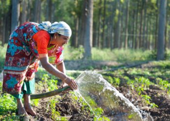 IFFCO Bio-Decomposer promotes Green Farming