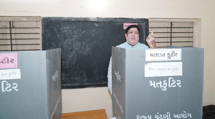 Gujarat: Sanghani, Mehta cast votes in local body elections