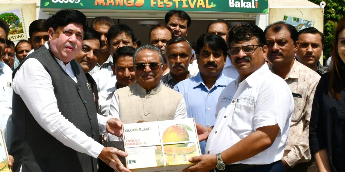 GUJCOMASOL sends first Kesar Mango Shipment to Dubai