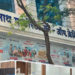 Sainath Multistate opens new branch in Jaysingpur