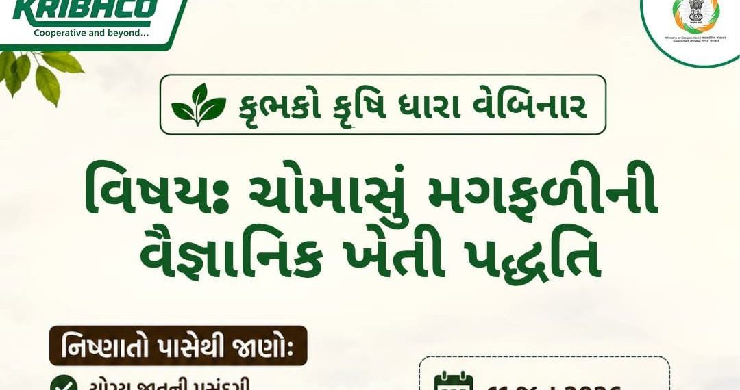 KRIBHCO to hold Webinar on Groundnut Farming