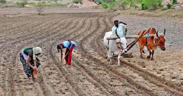 KRIBHCO Webinar highlights importance of Seed Systems