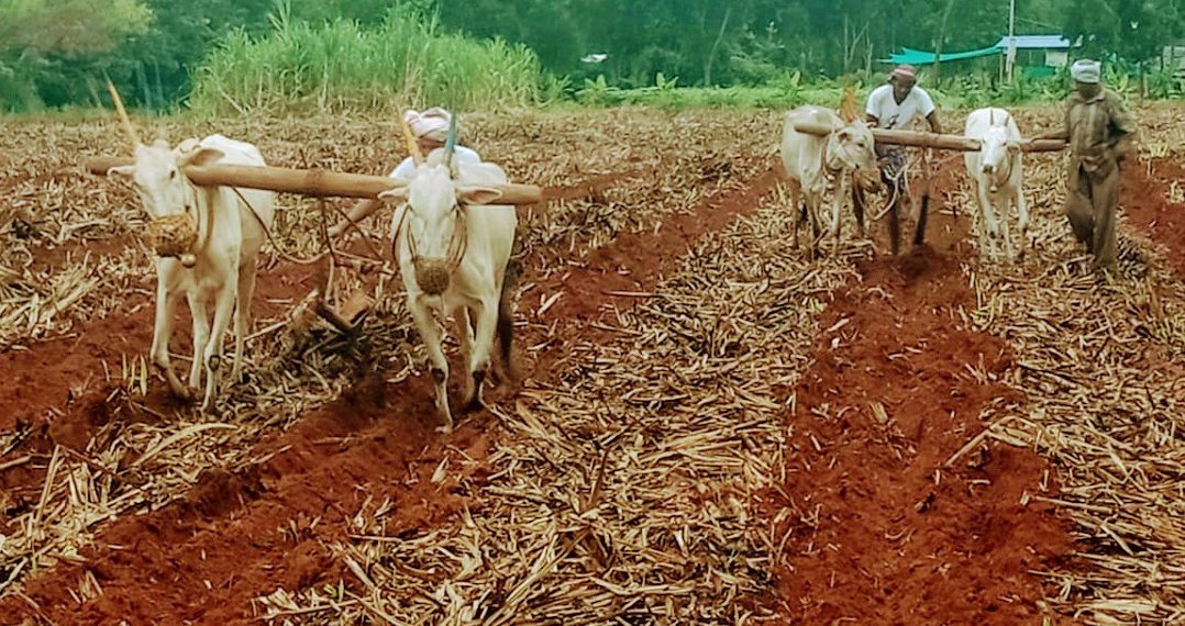 PM hails adoption of Natural Manure in MKB