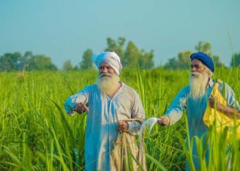 Co-op Urea Procurement: Punjab tightens oversight