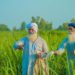 Co-op Urea Procurement: Punjab tightens oversight