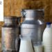 World Milk Day: India’s White Revolution Drives Global Nutrition